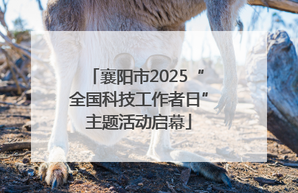 襄阳市2025“全国科技工作者日”主题活动启幕