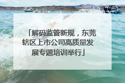 解码监管新规，东莞辖区上市公司高质量发展专题培训举行