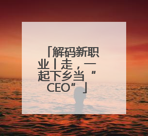 解码新职业丨走，一起下乡当“CEO”