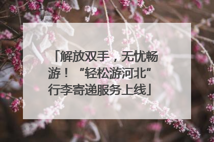 解放双手，无忧畅游！“轻松游河北”行李寄递服务上线