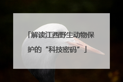 解读江西野生动物保护的“科技密码”