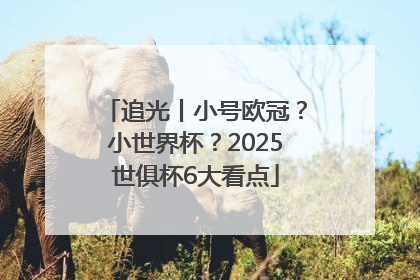 追光丨小号欧冠？小世界杯？2025世俱杯6大看点