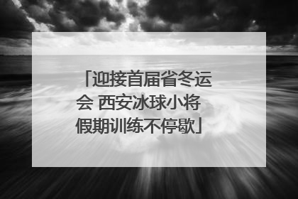 迎接首届省冬运会 西安冰球小将假期训练不停歇