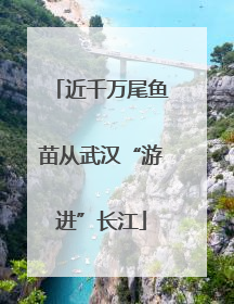 近千万尾鱼苗从武汉“游进”长江