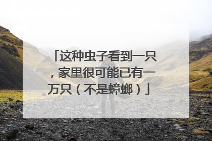 这种虫子看到一只，家里很可能已有一万只（不是蟑螂）