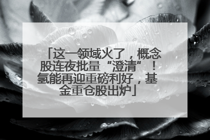 这一领域火了，概念股连夜批量“澄清”！氢能再迎重磅利好，基金重仓股出炉
