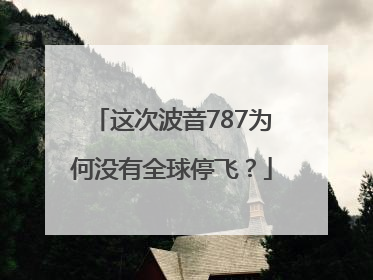 这次波音787为何没有全球停飞？