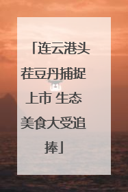 连云港头茬豆丹捕捉上市 生态美食大受追捧