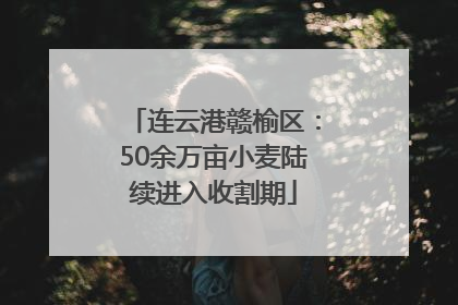 连云港赣榆区：50余万亩小麦陆续进入收割期