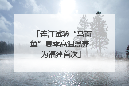 连江试验“马面鱼”夏季高温混养 为福建首次