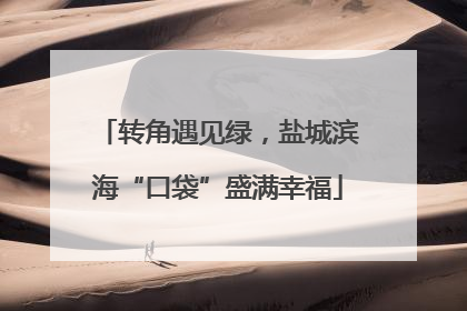转角遇见绿，盐城滨海“口袋”盛满幸福