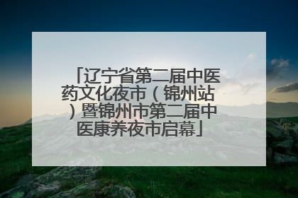 辽宁省第二届中医药文化夜市（锦州站）暨锦州市第二届中医康养夜市启幕