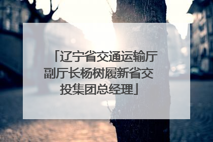 辽宁省交通运输厅副厅长杨树履新省交投集团总经理