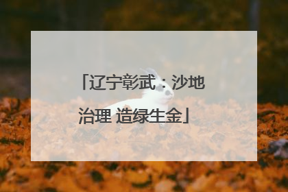 辽宁彰武：沙地治理 造绿生金