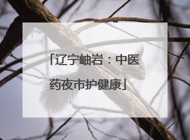 辽宁岫岩：中医药夜市护健康