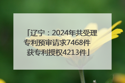 辽宁：2024年共受理专利预审请求7468件 获专利授权4213件