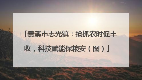 贵溪市志光镇：抢抓农时促丰收，科技赋能保粮安（图）