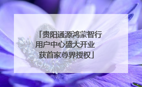贵阳通源鸿蒙智行用户中心盛大开业 获首家尊界授权