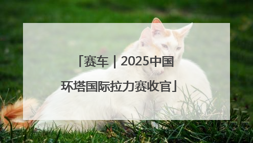 赛车｜2025中国环塔国际拉力赛收官