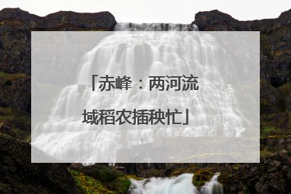 赤峰：两河流域稻农插秧忙