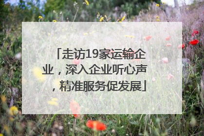 走访19家运输企业，深入企业听心声，精准服务促发展