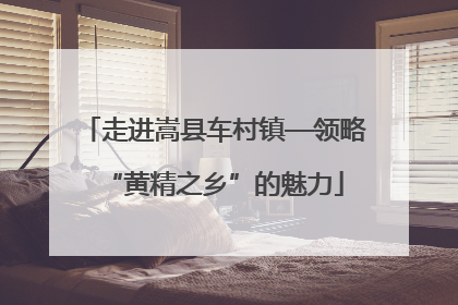 走进嵩县车村镇—领略“黄精之乡”的魅力