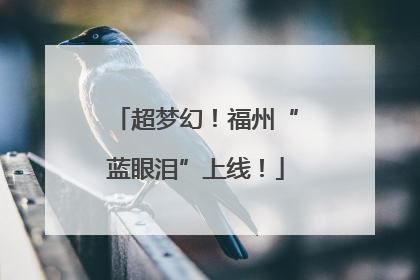 超梦幻！福州“蓝眼泪”上线！