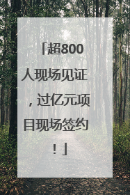 超800人现场见证，过亿元项目现场签约！