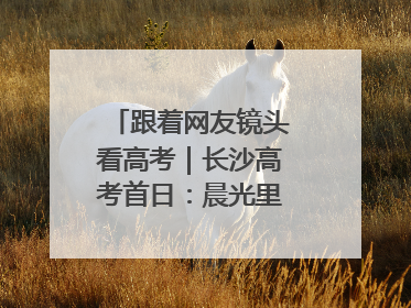 跟着网友镜头看高考｜长沙高考首日：晨光里的奔赴与守望