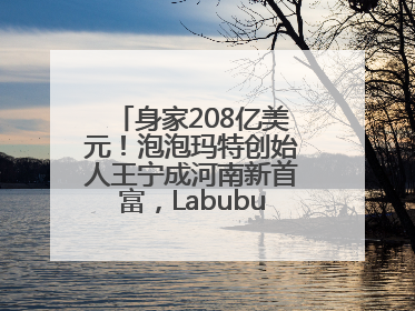 身家208亿美元！泡泡玛特创始人王宁成河南新首富，Labubu热销推涨股价