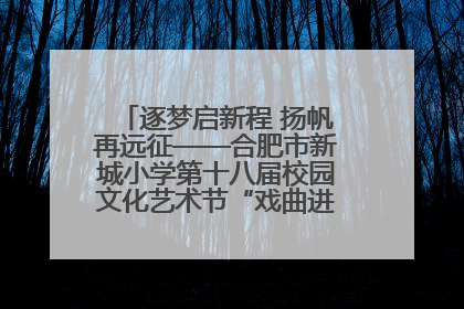 逐梦启新程 扬帆再远征——合肥市新城小学第十八届校园文化艺术节“戏曲进校园专场演出”