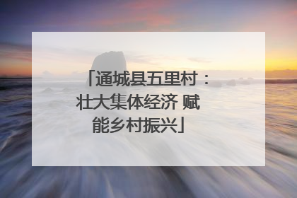 通城县五里村：壮大集体经济 赋能乡村振兴