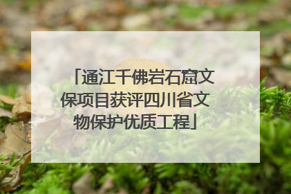通江千佛岩石窟文保项目获评四川省文物保护优质工程