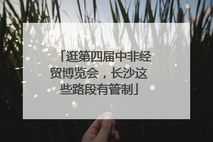 逛第四届中非经贸博览会，长沙这些路段有管制