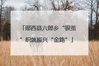 郧西县六郎乡“银茧”织就振兴“金路”