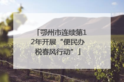 鄂州市连续第12年开展“便民办税春风行动”