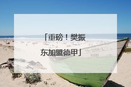 重磅！樊振东加盟德甲