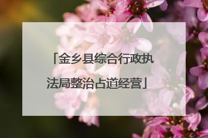 金乡县综合行政执法局整治占道经营