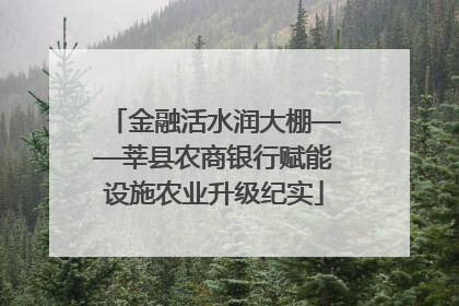 金融活水润大棚——莘县农商银行赋能设施农业升级纪实