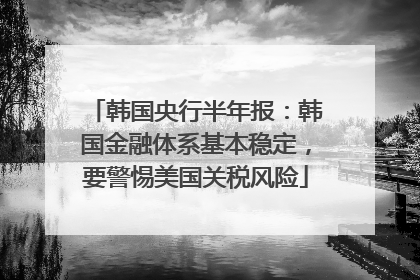 韩国央行半年报：韩国金融体系基本稳定，要警惕美国关税风险