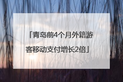 青岛前4个月外籍游客移动支付增长2倍