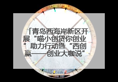 青岛西海岸新区开展“喵小创贷你创业”助力行动暨“西创赢——创业大咖说”主题活动