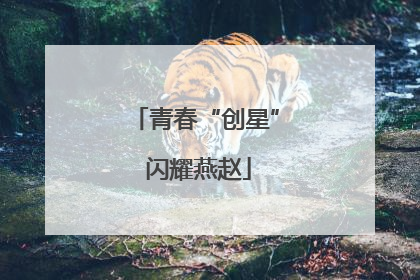 青春“创星” 闪耀燕赵