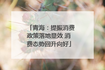 青海：提振消费政策落地显效 消费态势回升向好