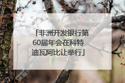 非洲开发银行第60届年会在科特迪瓦阿比让举行