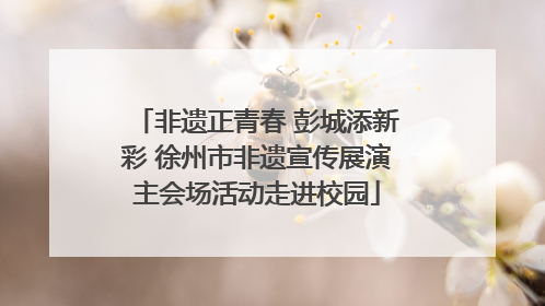 非遗正青春 彭城添新彩 徐州市非遗宣传展演主会场活动走进校园
