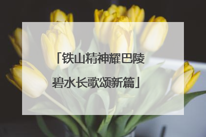 铁山精神耀巴陵 碧水长歌颂新篇