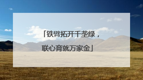 铁臂拓开千垄绿，联心育就万家金