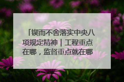 锲而不舍落实中央八项规定精神｜工程重点在哪，监督重点就在哪——广西深化政治监督护航平陆运河建设