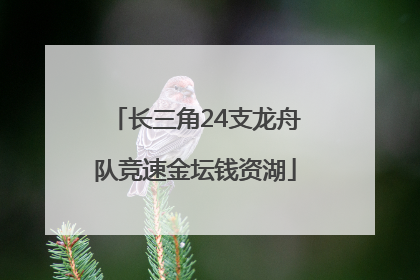 长三角24支龙舟队竞速金坛钱资湖
